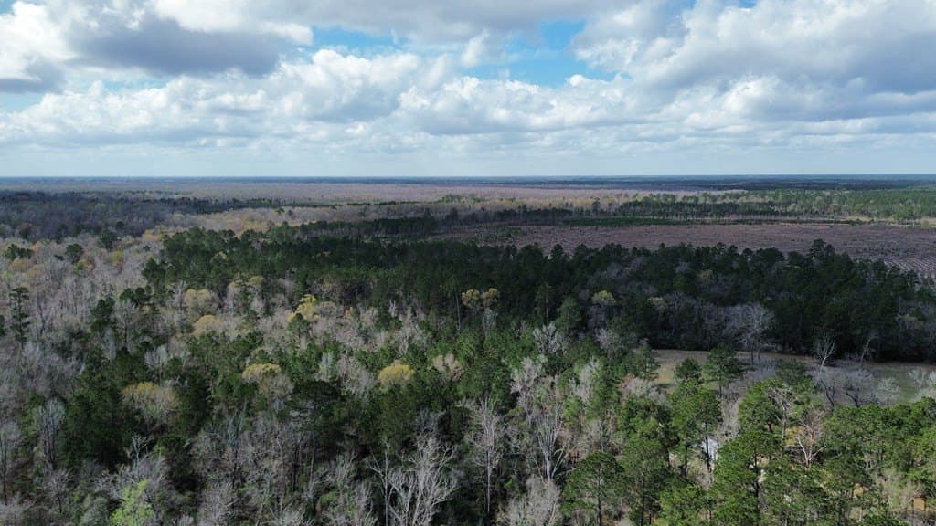 16.97 acres in Texas County gallery image 3