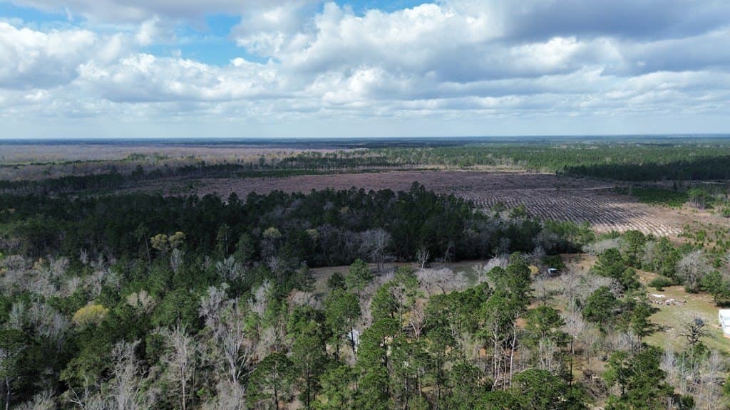 16.97 acres in Texas County gallery image 4