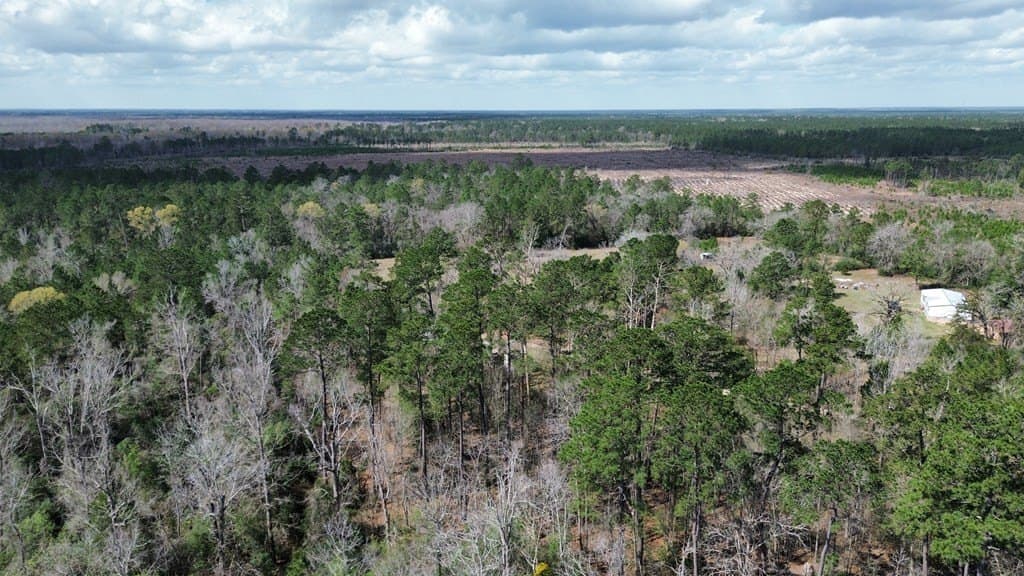 16.97 acres in Texas County featured view
