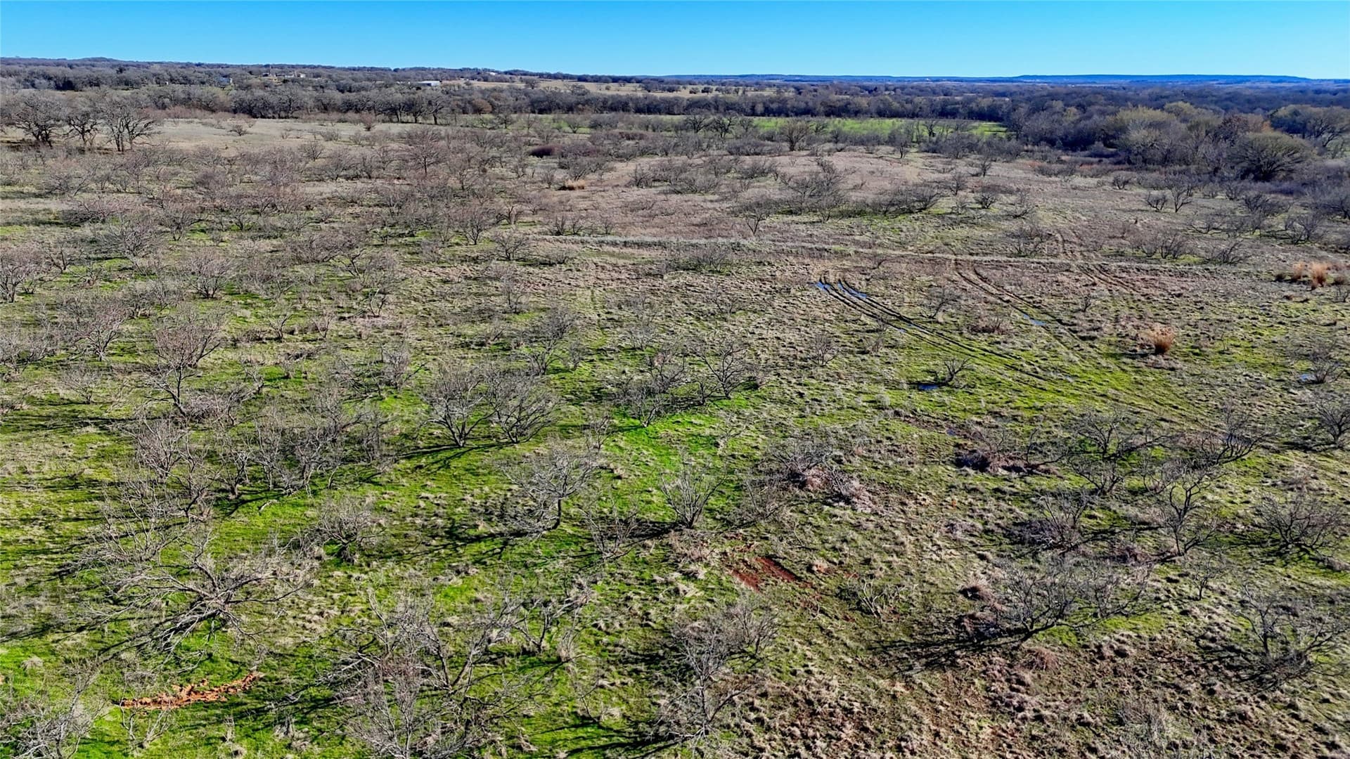 8.99 acres in Montague County - photo 20