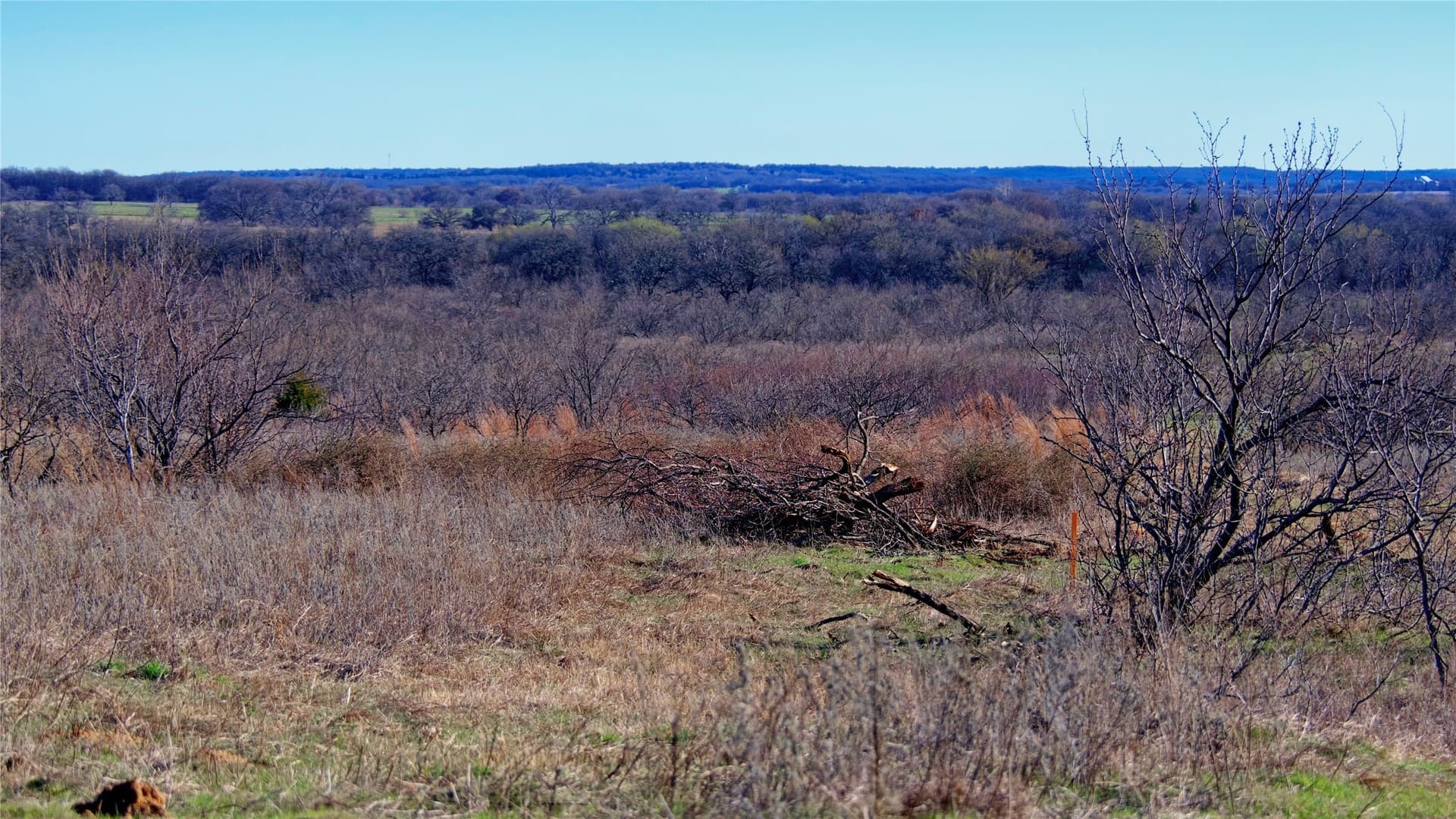 8.99 acres in Montague County - photo 5