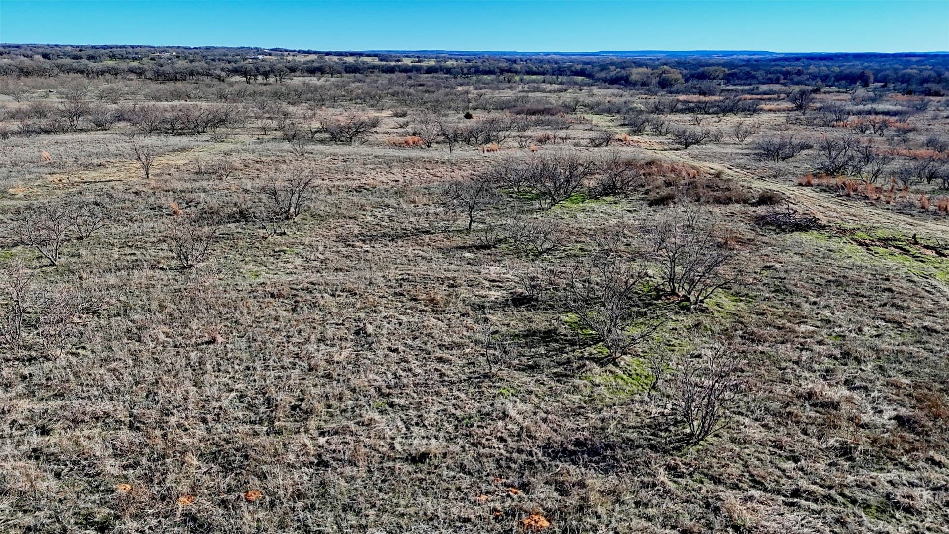 8.99 acres in Montague County - photo 10
