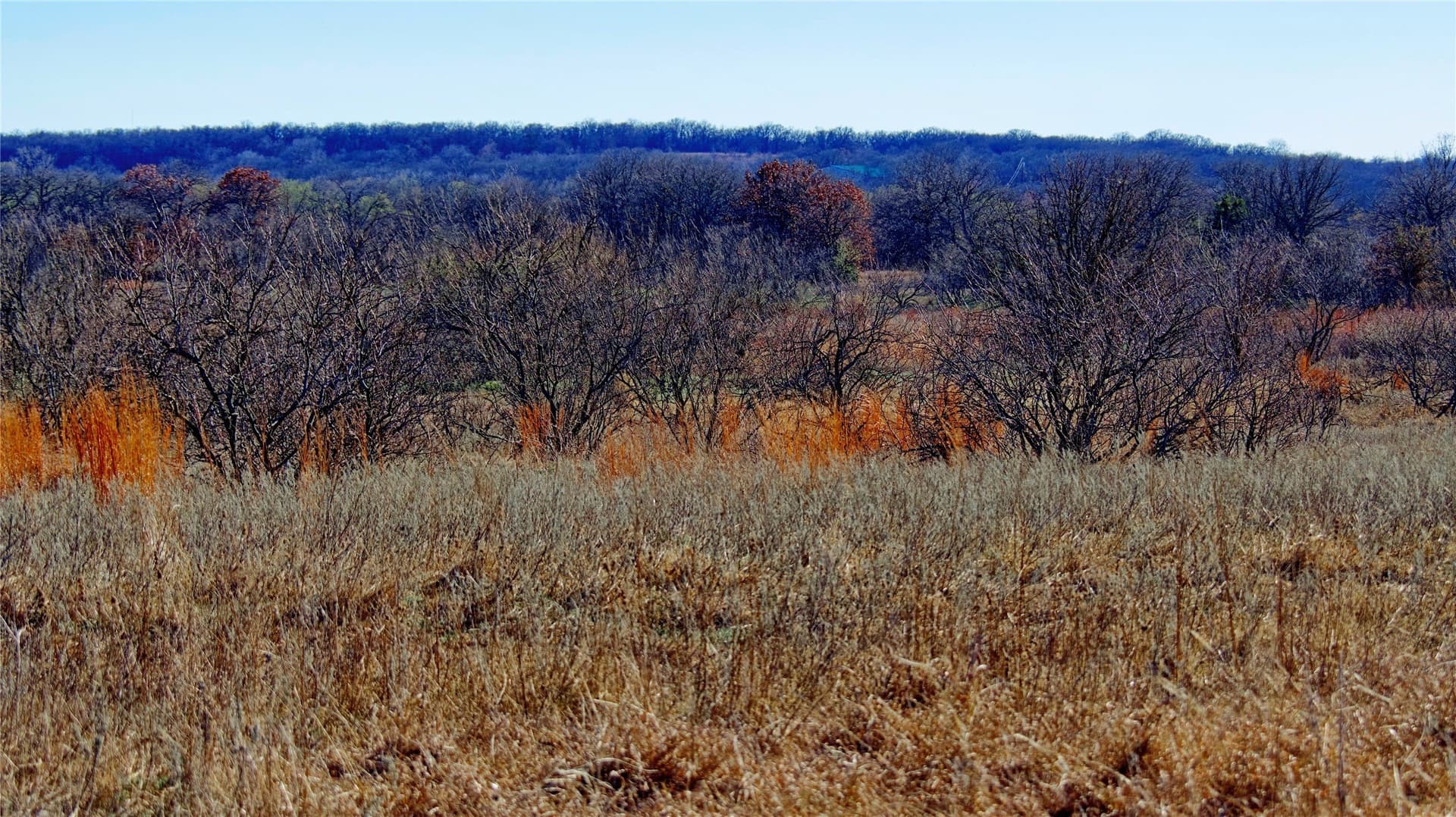 8.99 acres in Montague County - photo 6