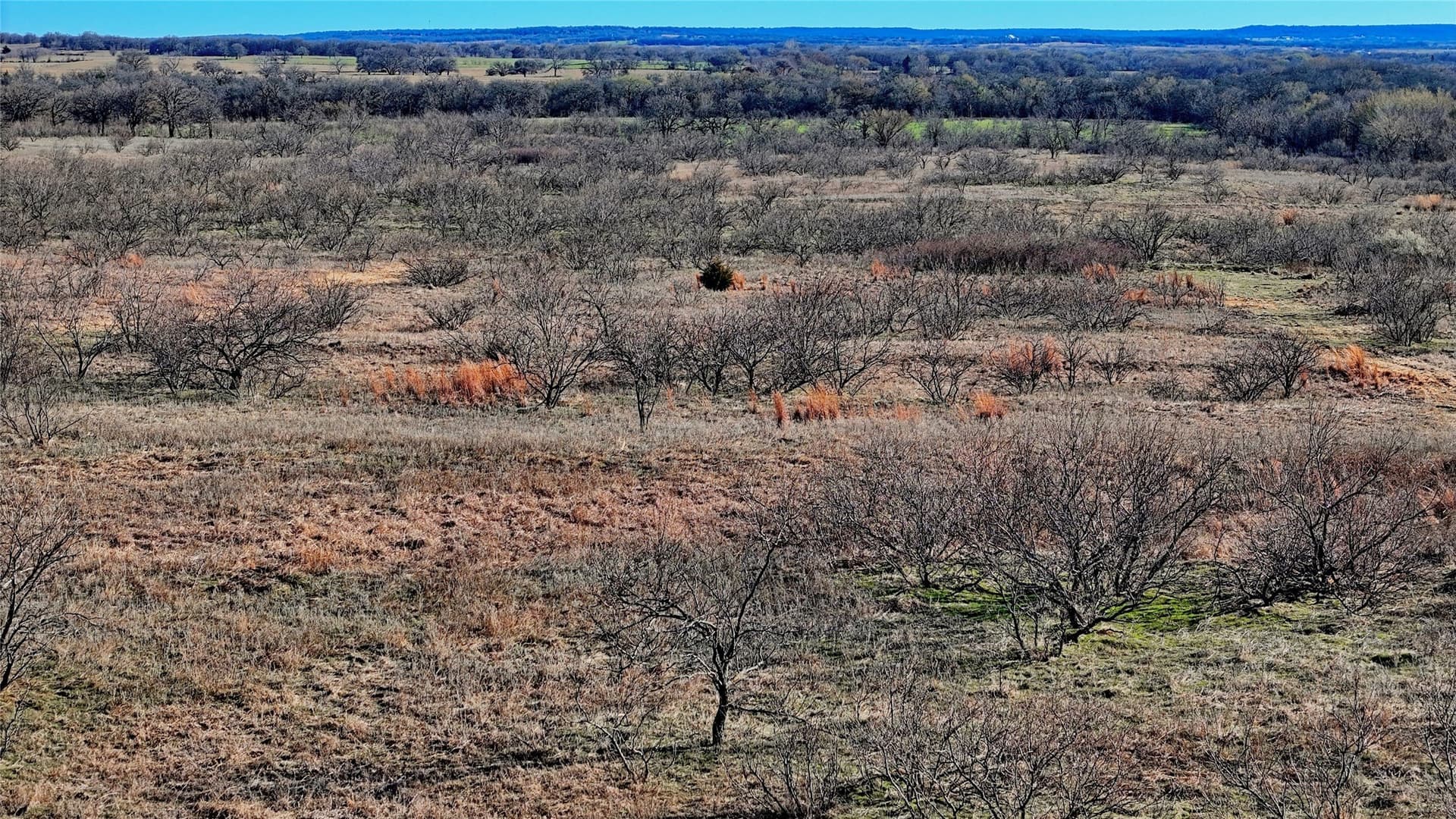 8.99 acres in Montague County - photo 17
