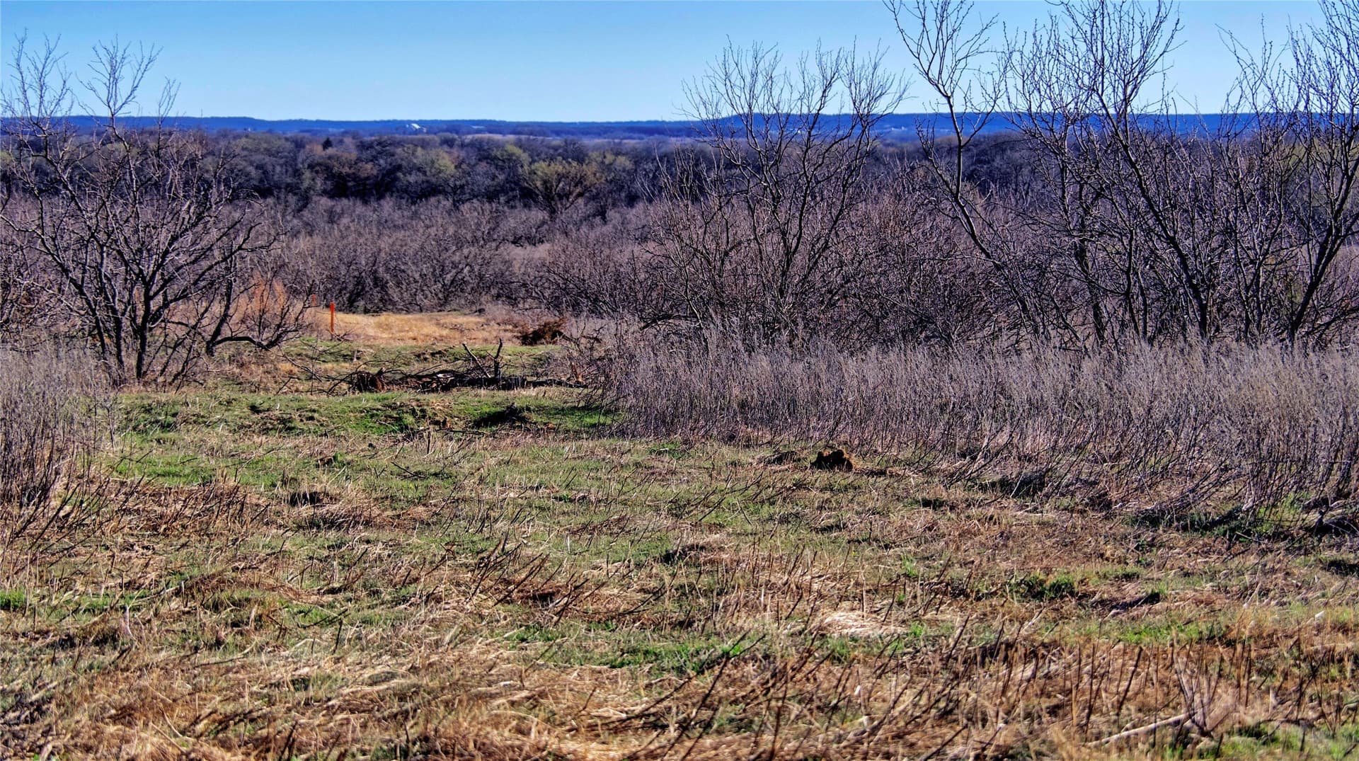 8.99 acres in Montague County - photo 18