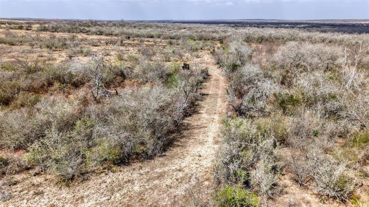 27 acres in Jim Wells County - photo 8