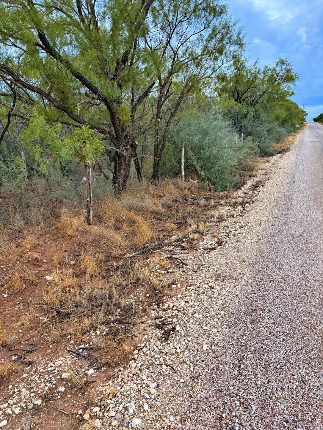 5.2 acres in Nolan County