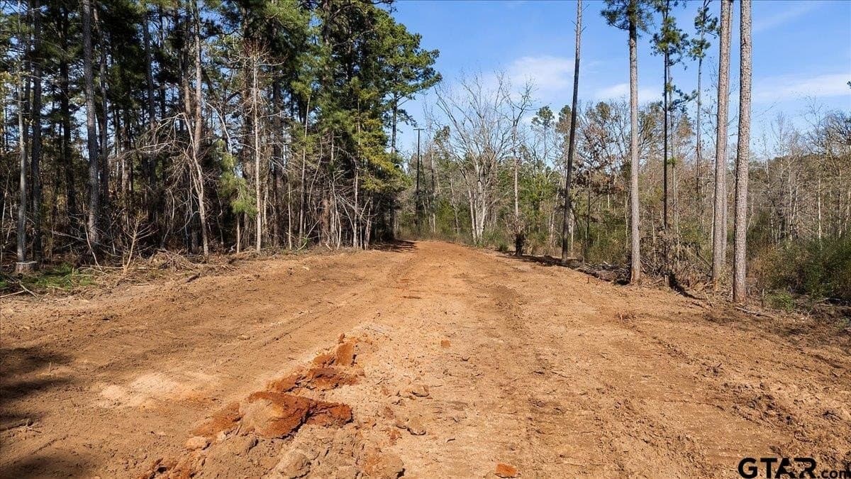 81.08 acres in Cherokee County gallery image 4