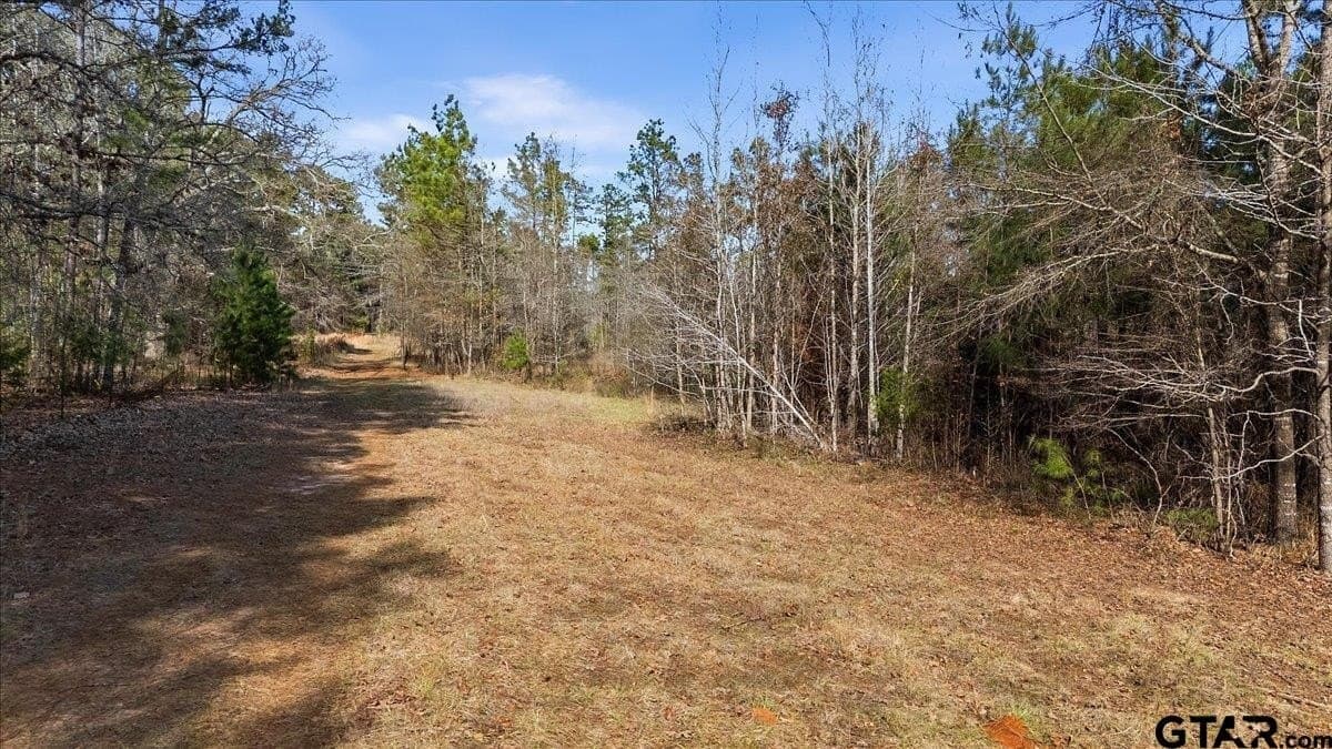 81.08 acres in Cherokee County gallery image 2