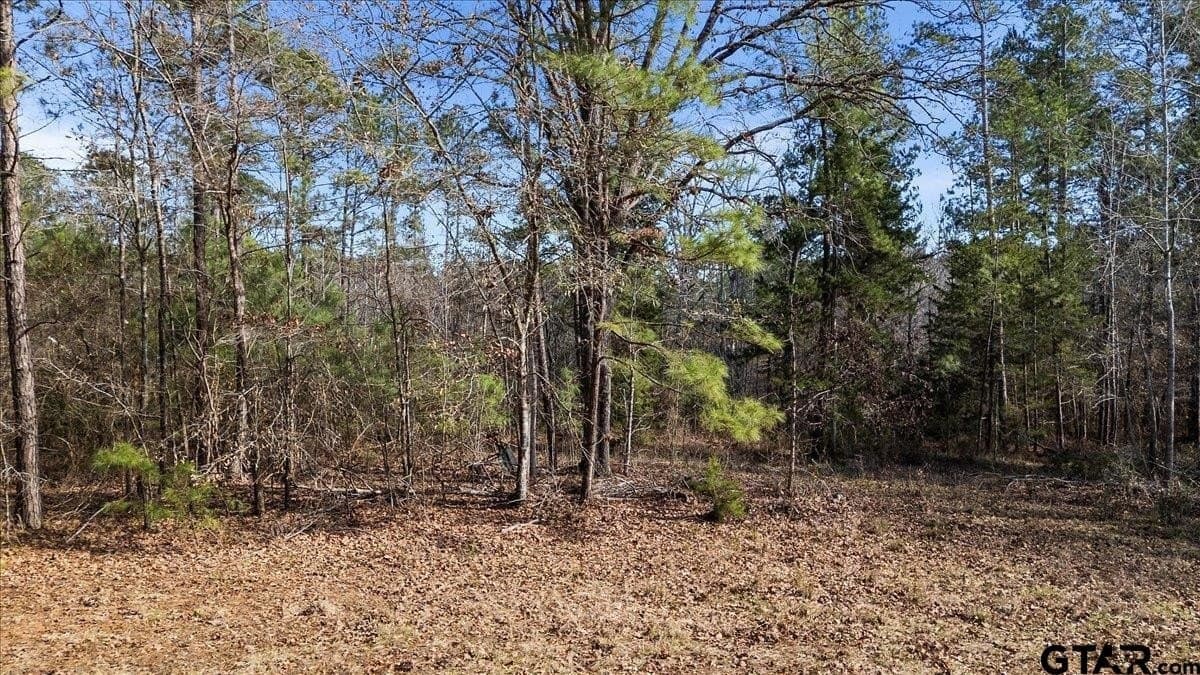 81.08 acres in Cherokee County featured view