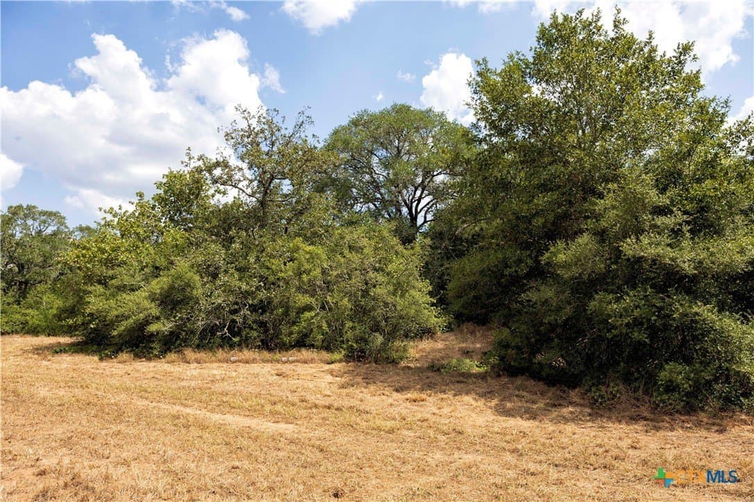 20.3 acres in Lavaca County - photo 20