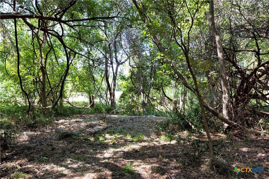 20.3 acres in Lavaca County gallery image 4