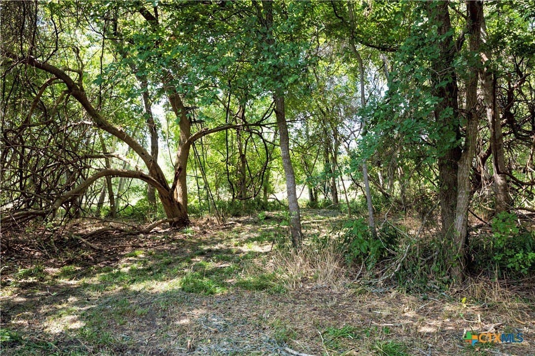 20.3 acres in Lavaca County gallery image 3