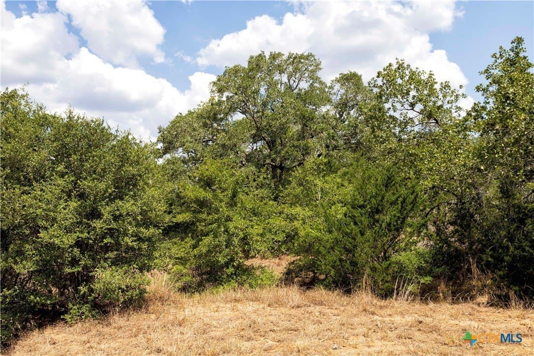 20.3 acres in Lavaca County - photo 24