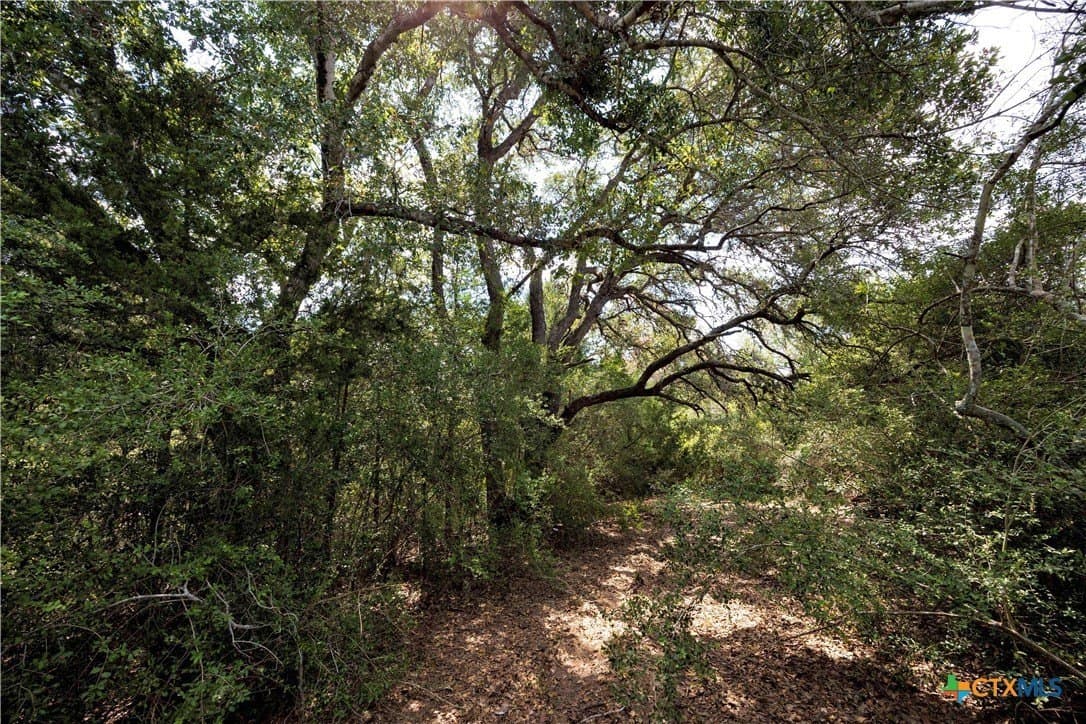 20.3 acres in Lavaca County featured view