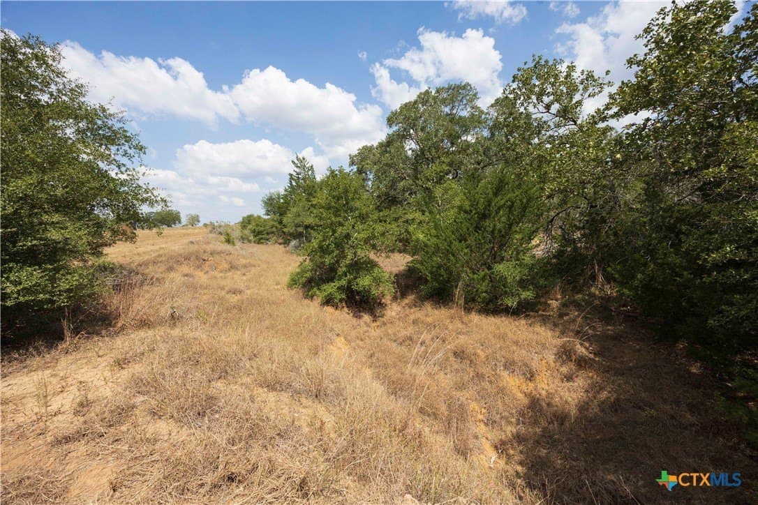 20.3 acres in Lavaca County - photo 22
