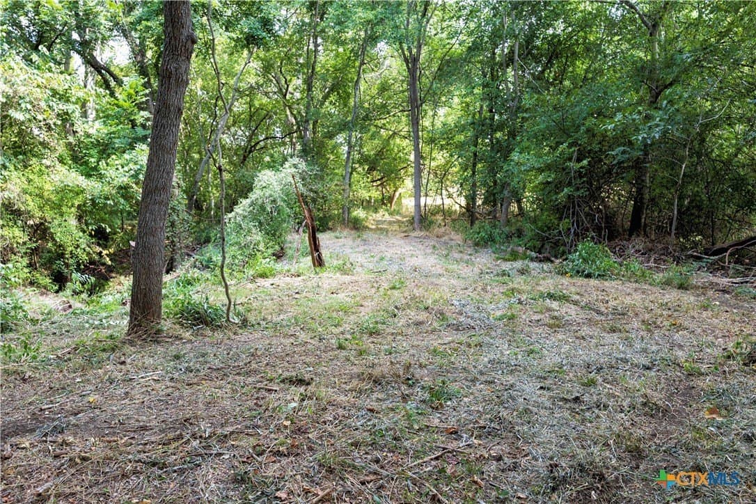 20.3 acres in Lavaca County - photo 9