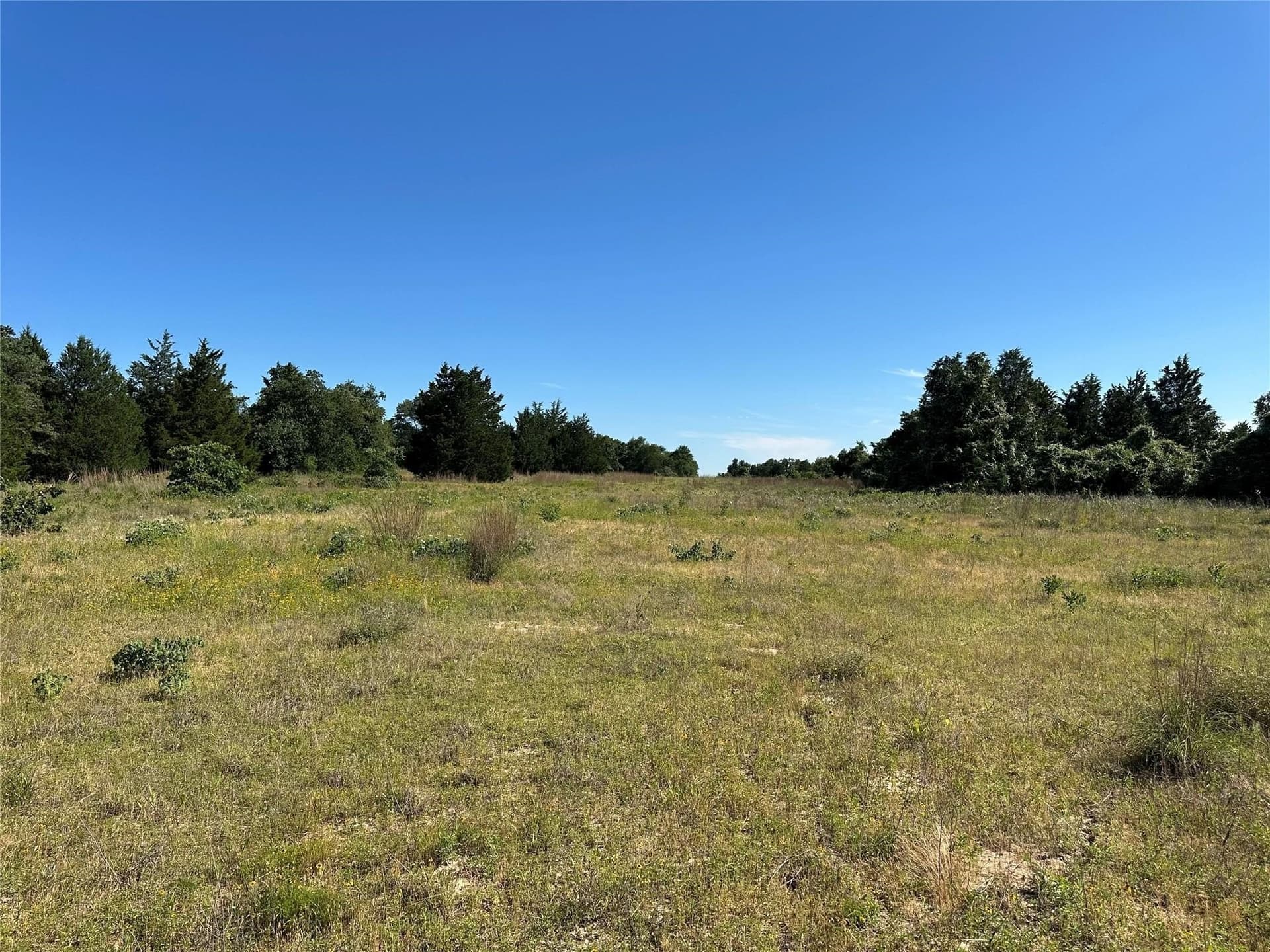 15.5 acres in Freestone County - photo 6