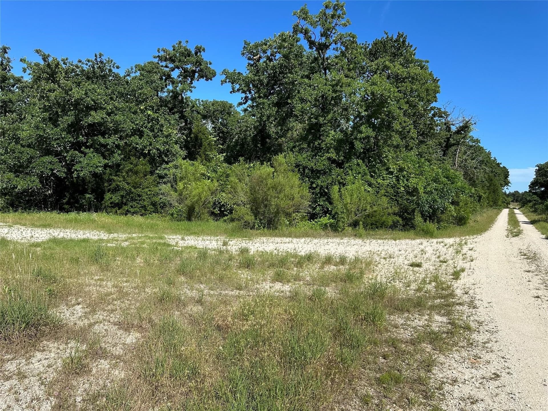 15.5 acres in Freestone County - photo 4