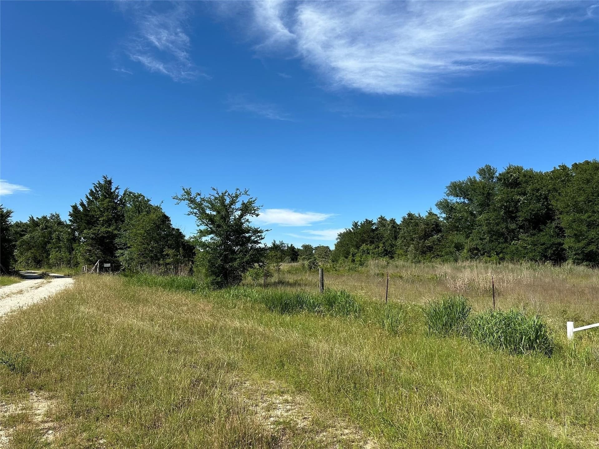 15.5 acres in Freestone County - photo 7
