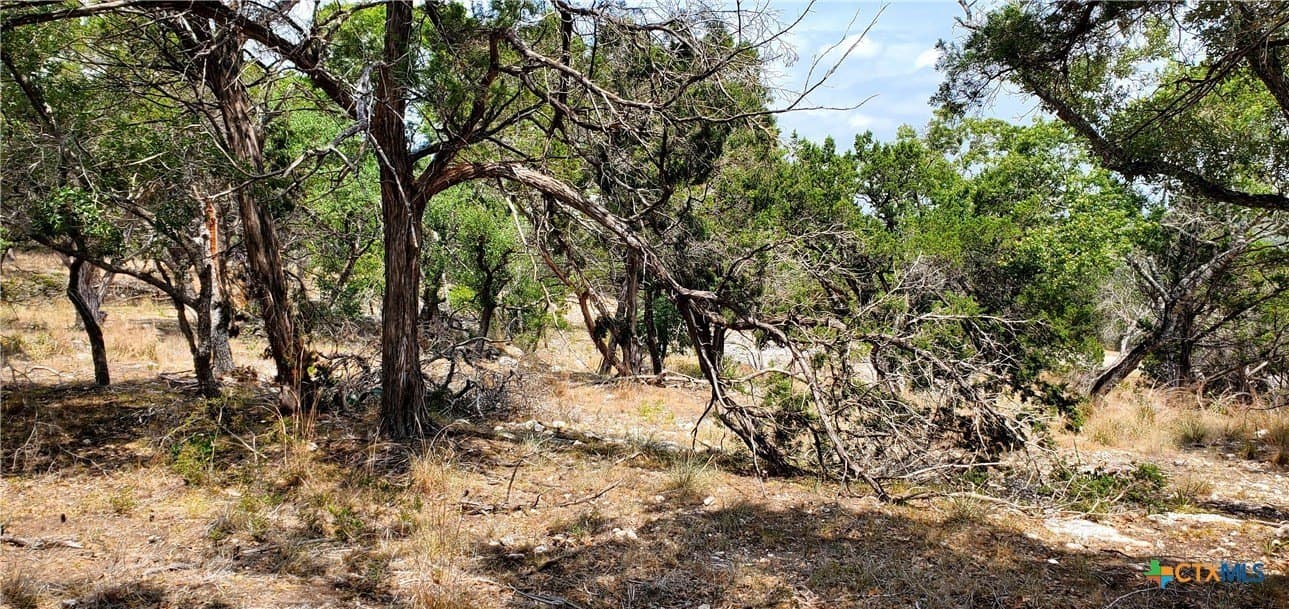 1.08 acres in Comal County - photo 9