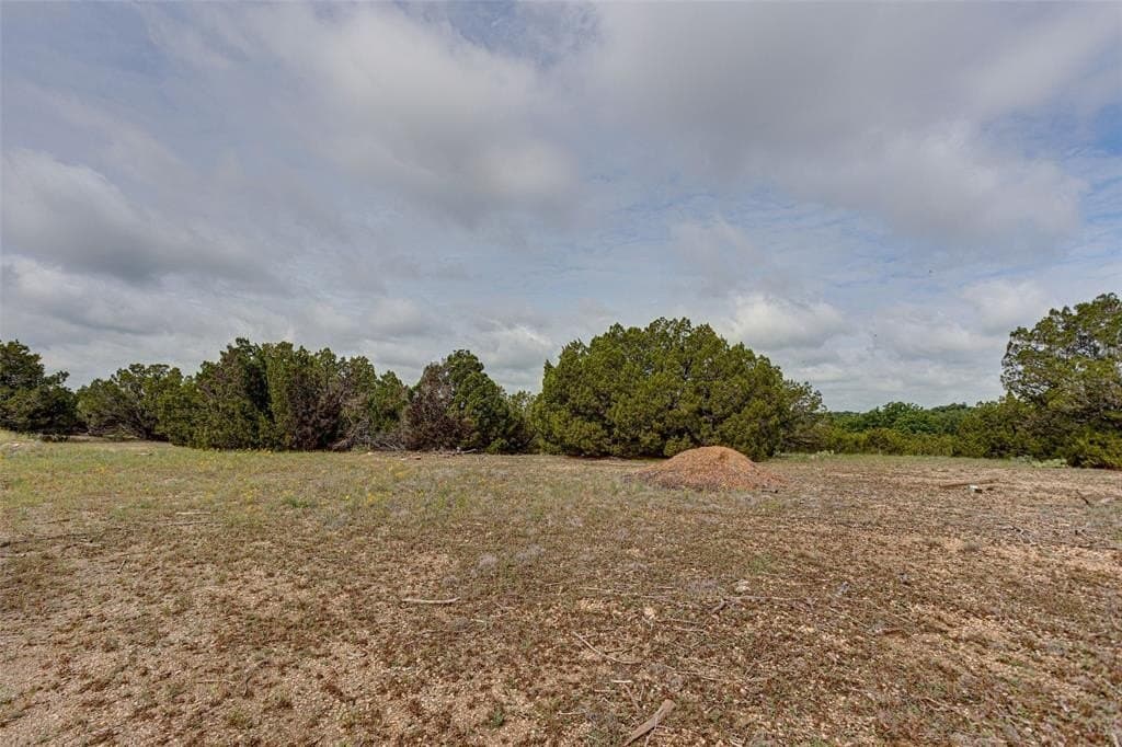 21.63 acres in Parker County gallery image 4