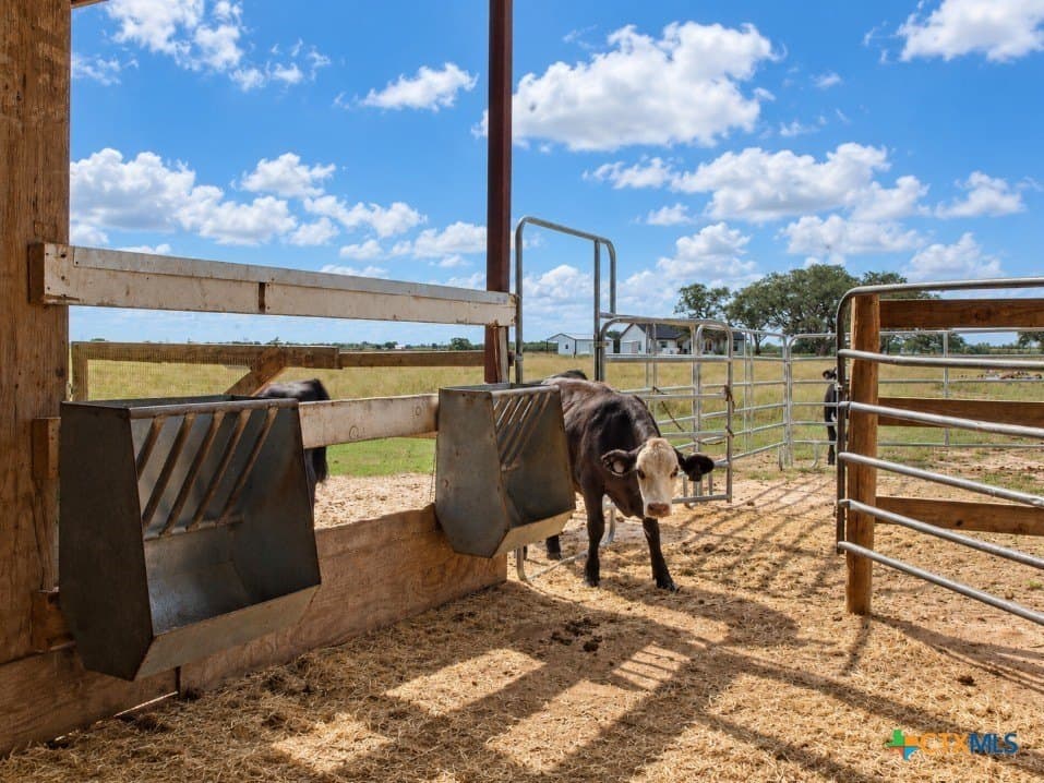 10.49 acres in Goliad County - photo 18