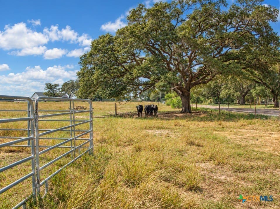 10.49 acres in Goliad County - photo 20