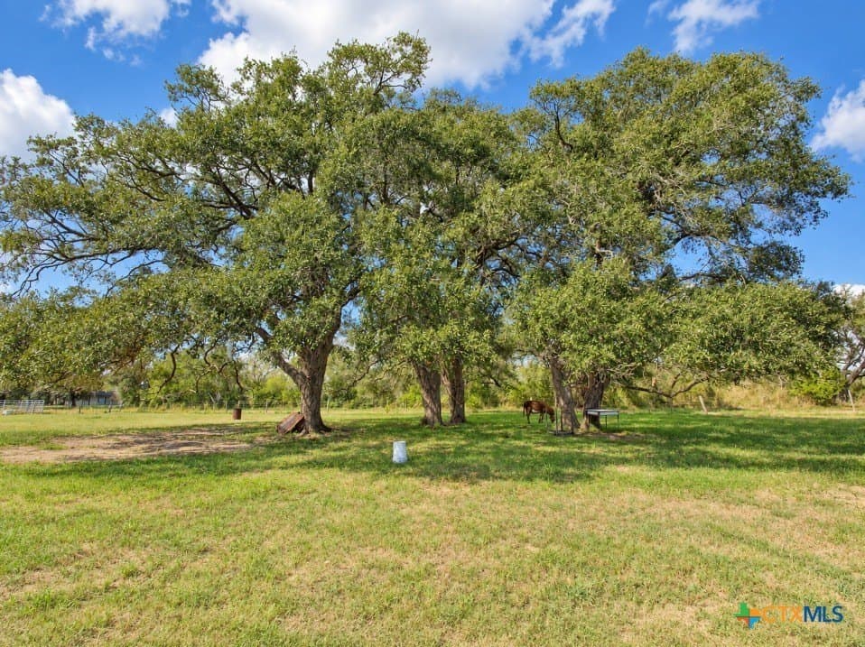 10.49 acres in Goliad County - photo 25