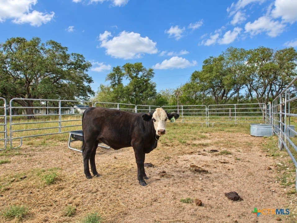 10.49 acres in Goliad County - photo 23