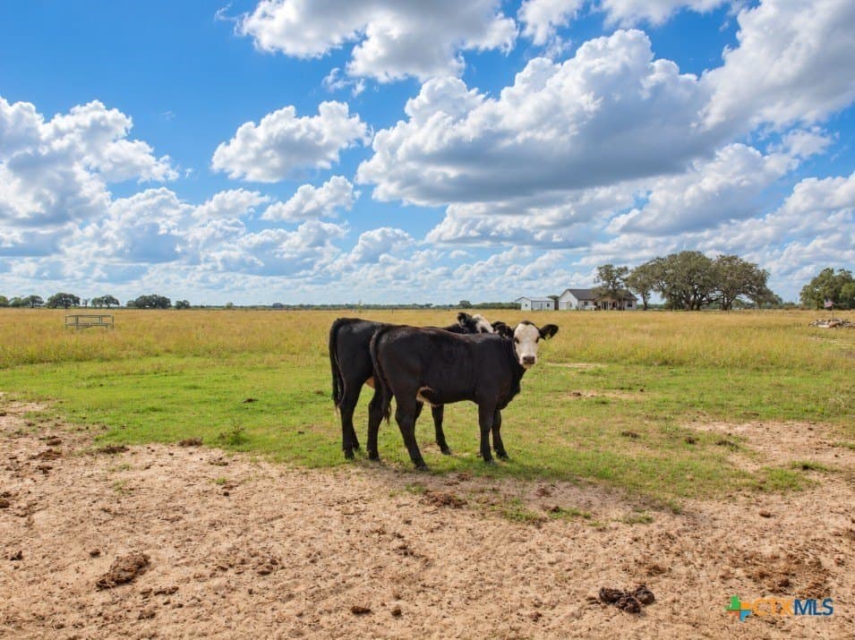 10.49 acres in Goliad County - photo 24