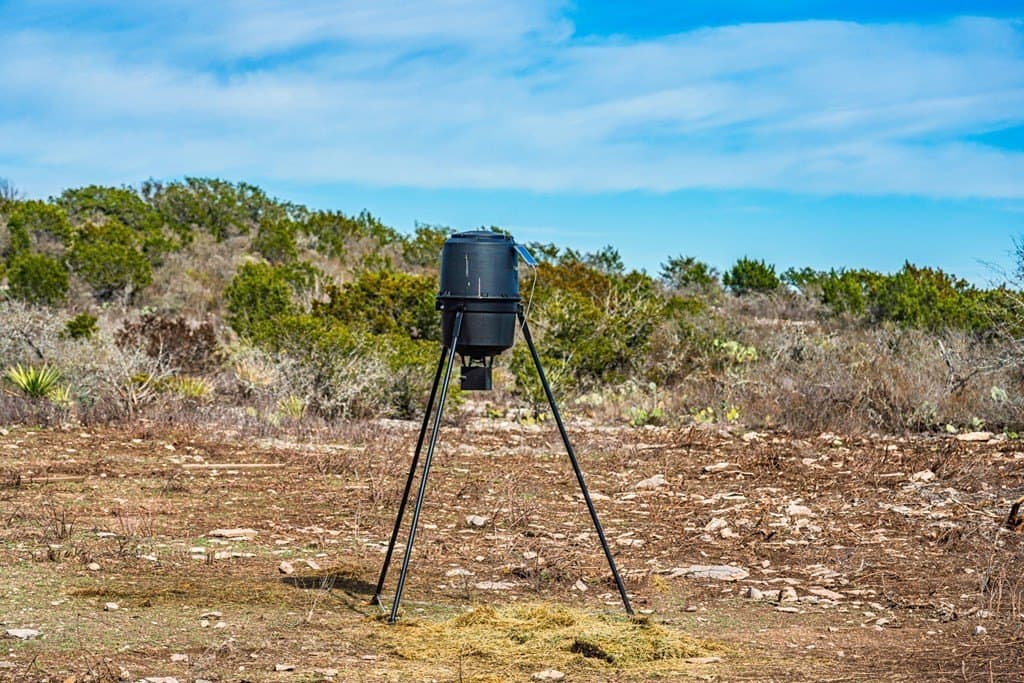 20.01 acres in Uvalde County gallery image 4