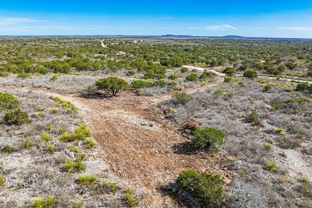 20.01 acres in Uvalde County gallery image 3