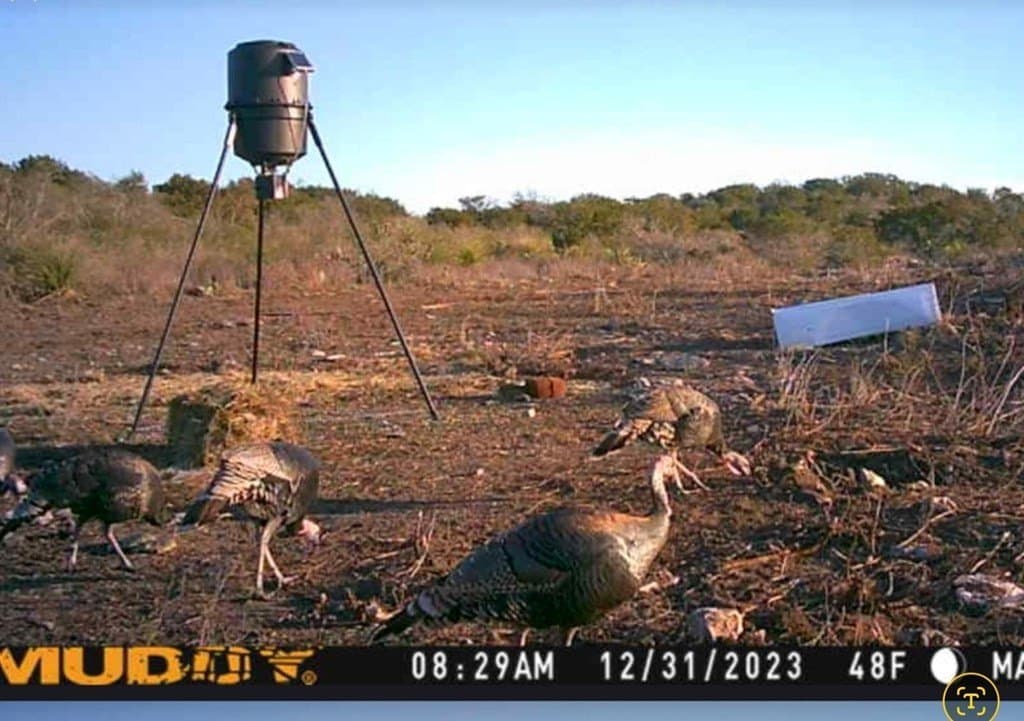 20.01 acres in Uvalde County - photo 14
