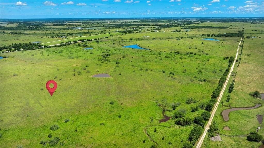 100 acres in Navarro County gallery image 3