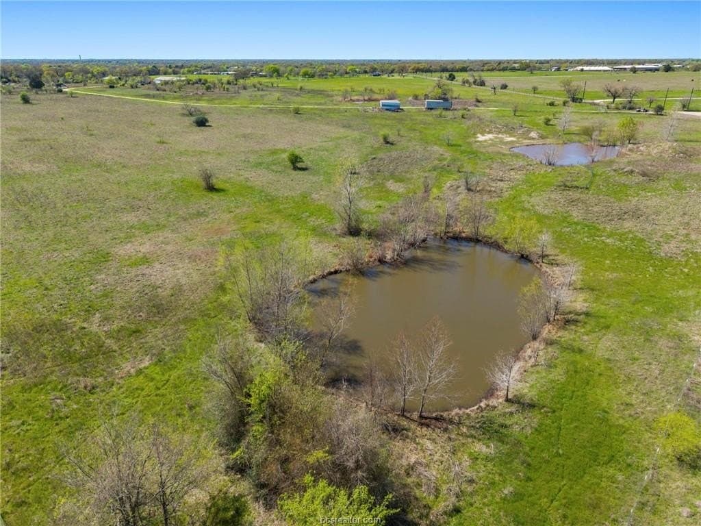 50 acres in Brazos County - photo 7