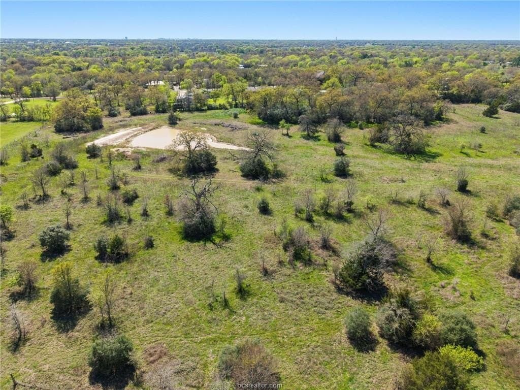50 acres in Brazos County - photo 15
