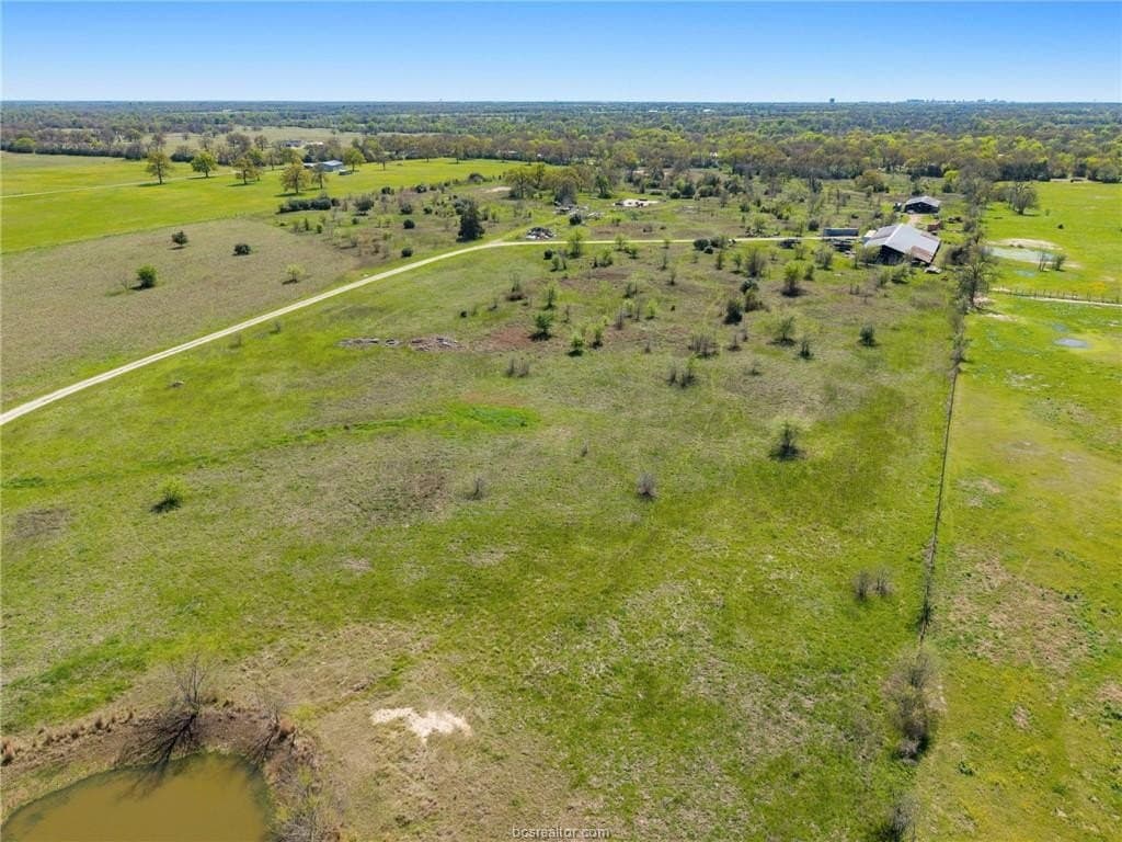 50 acres in Brazos County gallery image 4
