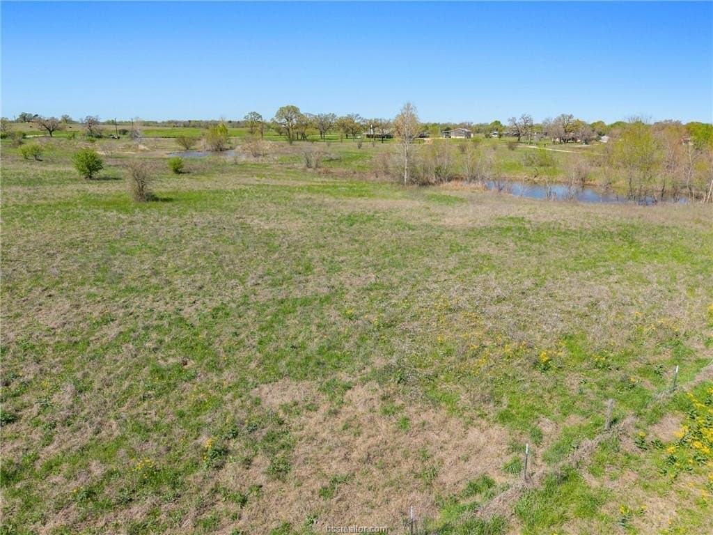 50 acres in Brazos County - photo 8