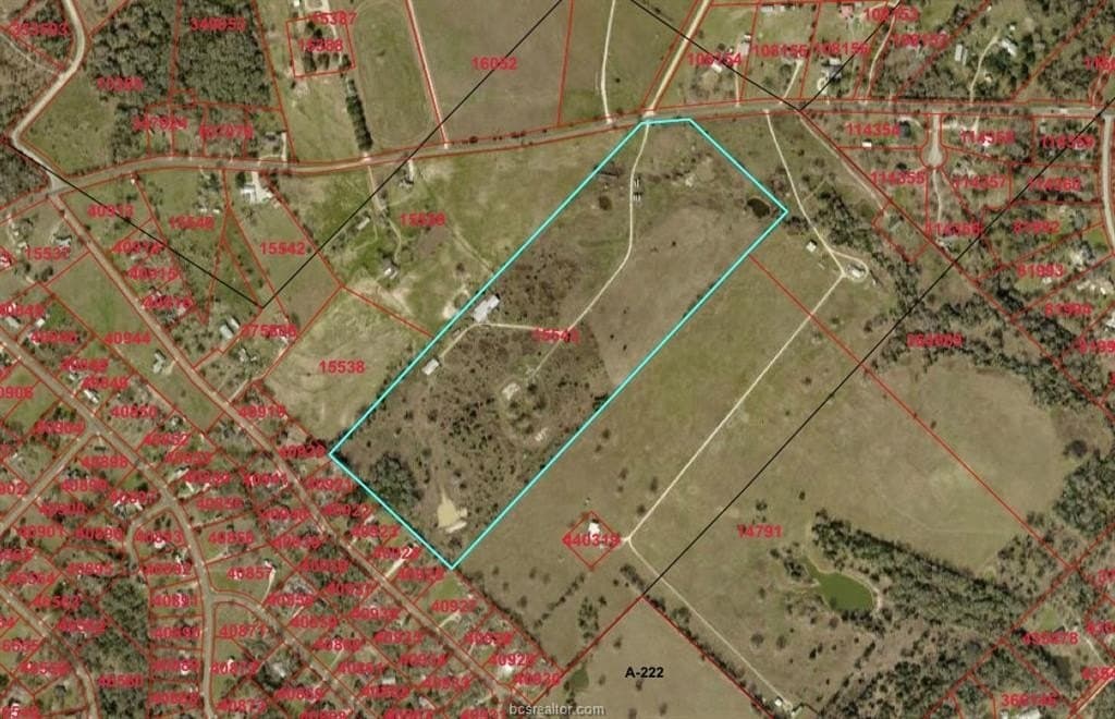 50 acres in Brazos County gallery image 3