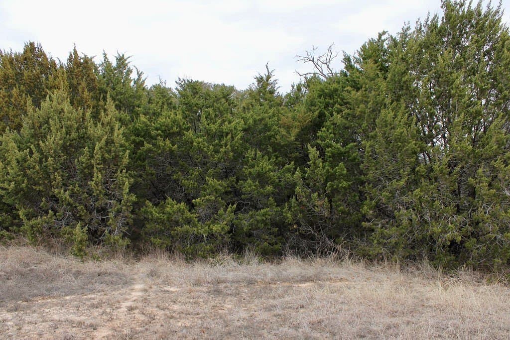 0.07 acres in Hood County - photo 2