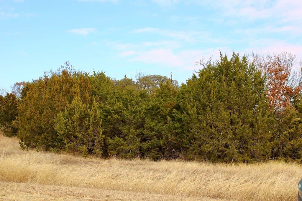 0.07 acres in Hood County - photo 14