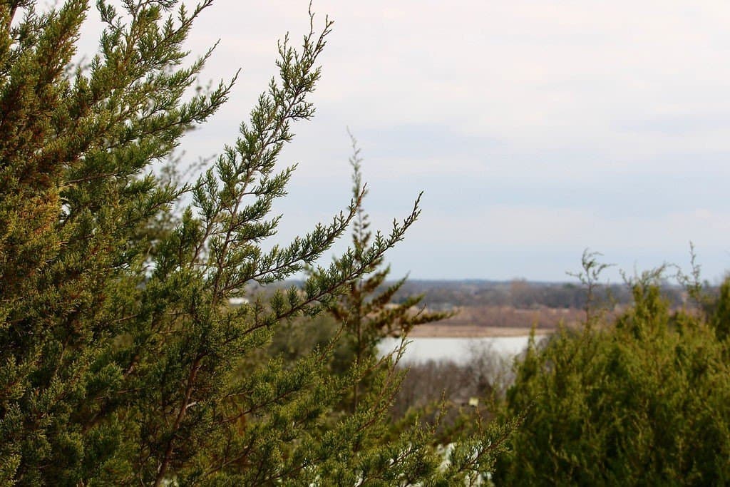 0.07 acres in Hood County - photo 15