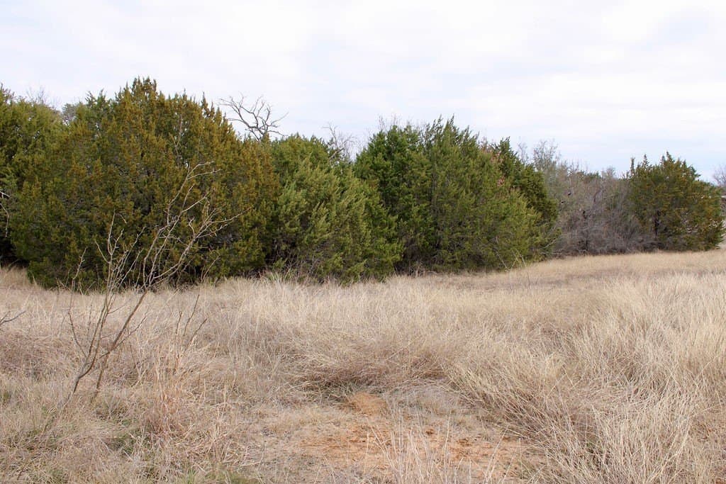 0.07 acres in Hood County - photo 11