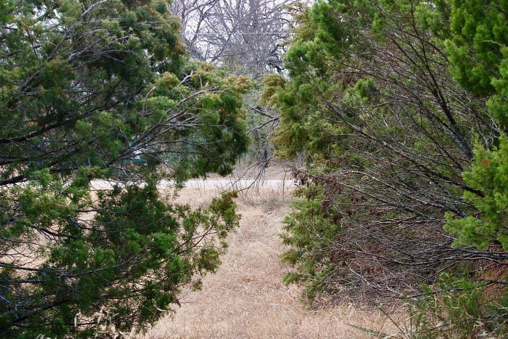 0.07 acres in Hood County - photo 17