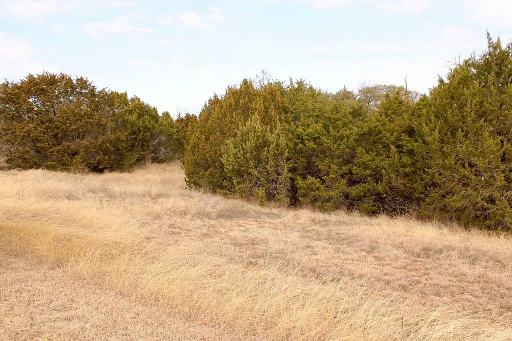 0.07 acres in Hood County - photo 13
