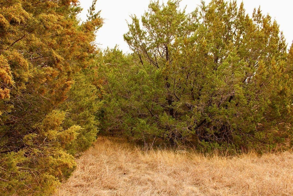 0.07 acres in Hood County - photo 7