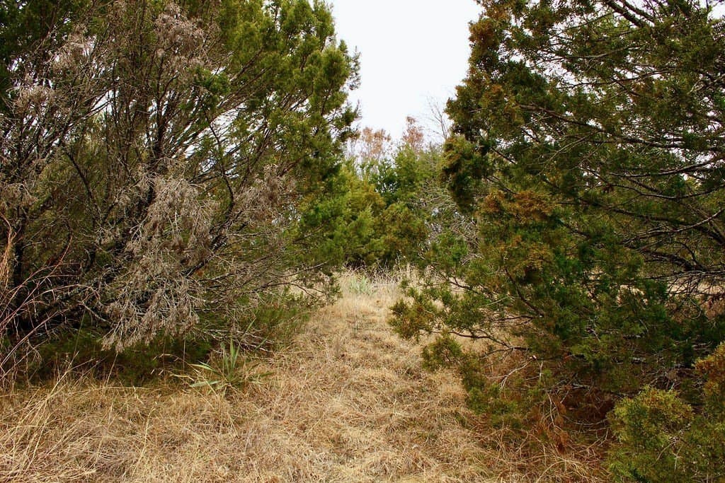 0.07 acres in Hood County - photo 6
