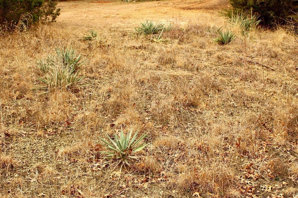 0.07 acres in Hood County - photo 8