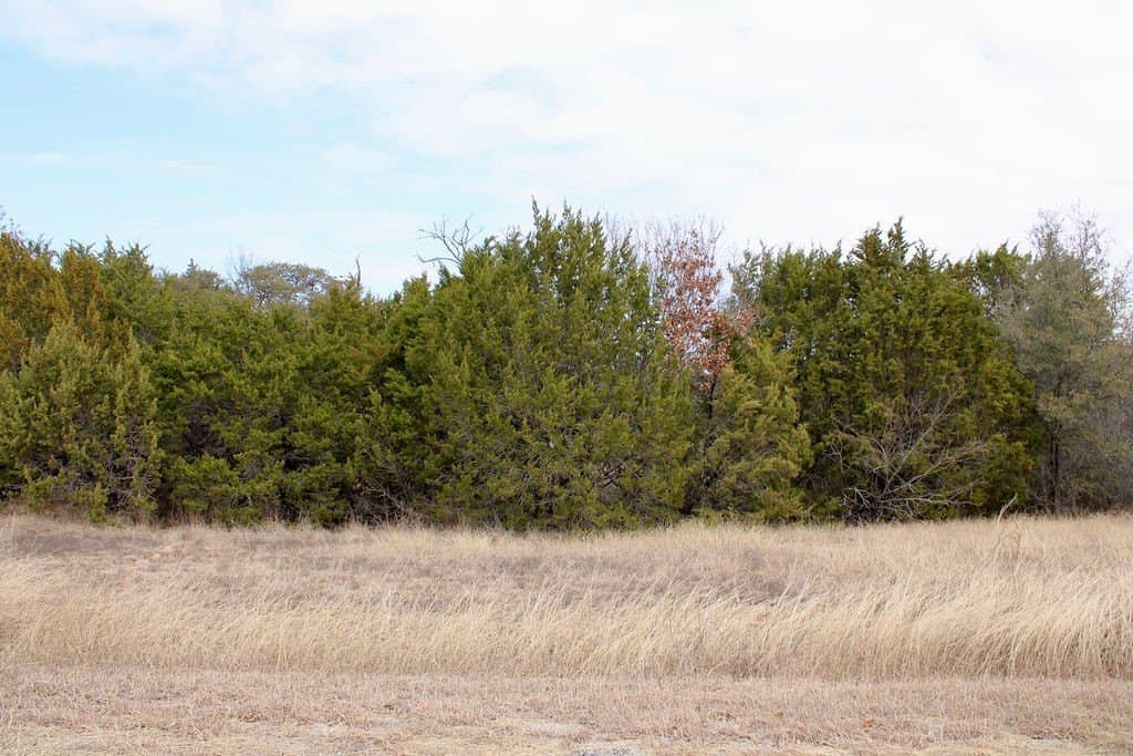 0.07 acres in Hood County - photo 12
